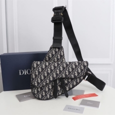 Christian Dior Saddle Bags